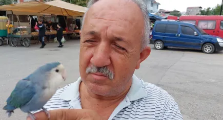 Çarşı pazar omuzunda Sevda Papağanı ile geziyor