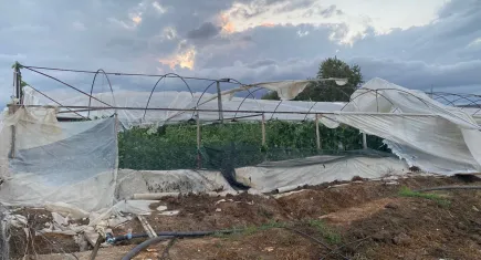 Antalya’da hortum: Seralar mahvoldu!
