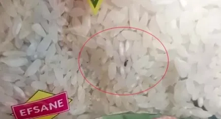 Dev zincir markette böcek skandalı!