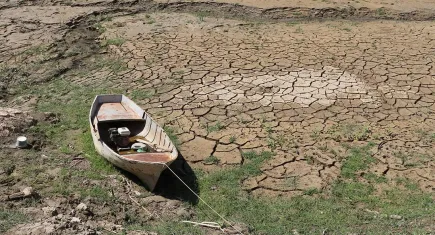 9 imzacı kurumdan İklim Kanunu için ortak açıklama