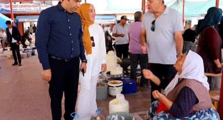 Kırşehir’de 'Ceviz Festivali' hazırlıkları tamamlandı