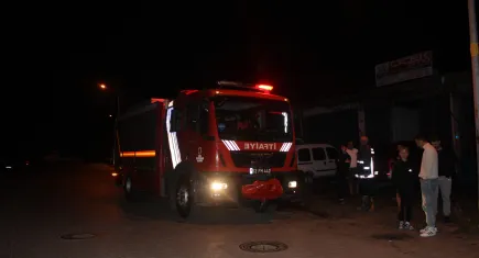 Ordu'da korkutan yangın