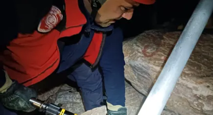 Balıkesir'de yavru köpek operasyonu