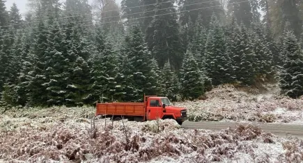 Mevsimin ilk karı Sakarya'ya düştü