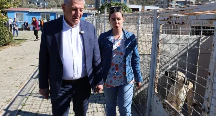 Güzelbahçe'de uyuyan köpeği öldü diye paylaştılar