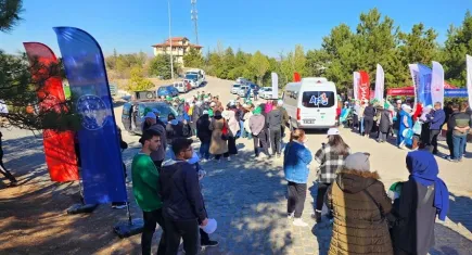 Afyonkarahisar'da orman temizliği