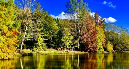 Erzincan'da renk cümbüşü