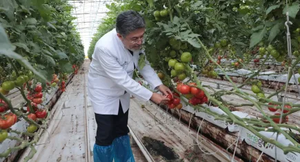 Bakan Yumaklı, Diyadin Tarıma Dayalı İhtisas Sera Organize Sanayi bölgesinde incelemelerde bulundu