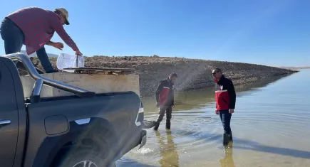 1 milyon balığı göle bıraktılar