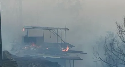 Hatay’daki orman yangını kontrol altına alındı