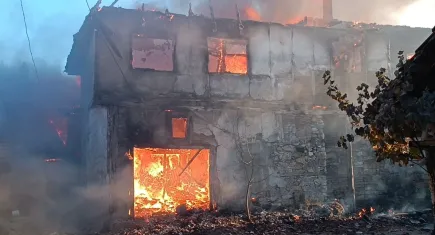 Çöplükte çıkan yangında 7 ev, 4 hayvan barınağı küle döndü