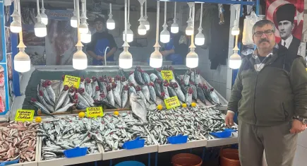 Balık tezgahları doldu: Hamsi, Çinekop, Palamut bolluğu