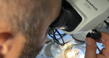 Ssonbaharda kene uyarısı