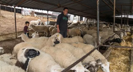 Büyükşehir'den yangın mağduru çiftçilere destek