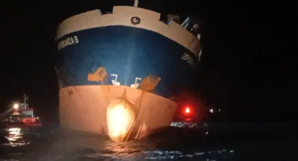 Mersin açıklarında kuru yük gemisi yan yattı!