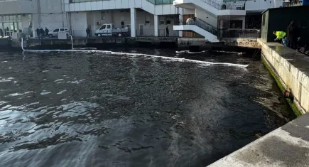 İzmir Körfezi'nde petrol kaynaklı kirlilik!