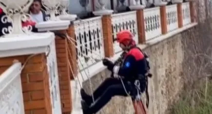 Mahsur kalan kedi kurtarıldı