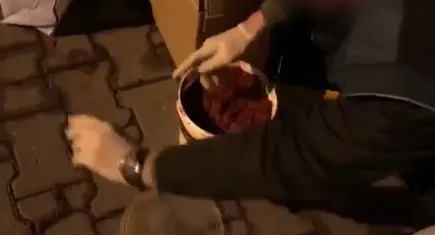 Salçanın içinden çıkanlar pes dedirtti!