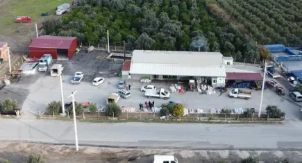 Menemen zeytinlerini israf etmiyor