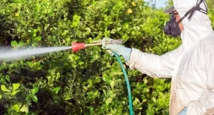 Yeni bir kampanya: Zehir yemek istemiyoruz