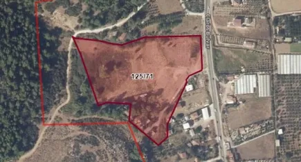 O belediyeden 322 dönümlük satış