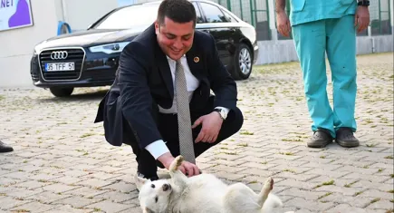 Torbalı’da 2024 yılında binlerce hayvan tedavi oldu