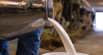 TÜSEDAD raporu açıklandı: Çiğ süt 21,72 TL olmalı