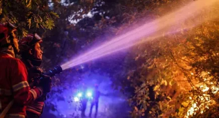 Orman yangınlarında 7 kişi öldü, 40 kişi yaralandı