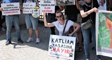 Yaşam için Yasa İnisiyatifi: Katliam yasasına geçit vermeyeceğiz