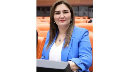 CHP’li vekilden atama tepkisi: “Eğitim sistemimizin liyakate değil sadakate göre şekillendiğini göstermiştir”