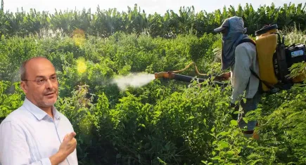Pestisitler ve Çocuklar raporu: 155 ürünün yüzde 61’inde çoklu pestisit kalıntısı bulundu