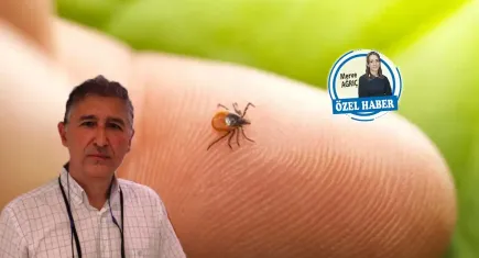 Türkiye’de yeni kene türü alarmı: Ölümcül olabiliyor