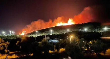 Halk sağlığı tehdit altında…Türk Tabipleri Birliği orman yangınları için uyardı 