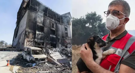 Yangın yaralarının sarılması için kampanya başlatılacak