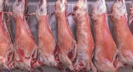 Dana ve kuzu eti fiyatları geriledi