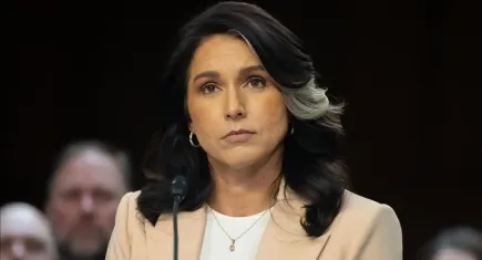 Gabbard’dan şok iddia: 2016 seçimlerini etkileyen ihanet komplosu açığa çıktı