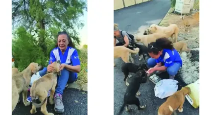 HAYTAP’tan sokak hayvanları için paraziter tedavi seferberliği