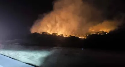 İzmir haber: Dikili’de çöplükte başlayan yangın makilik alana sıçradı