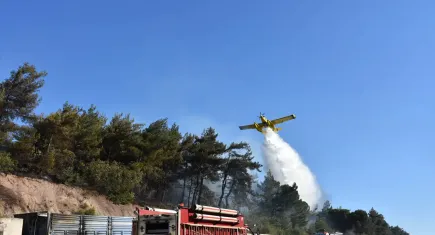 İzmir haber: Kemalpaşa'daki yangın ormana sıçradı!