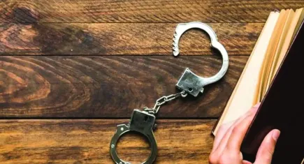 Eşitlik İçin Kadın Platformu: Örgütlü suçlar ile toplumsal eşitsizliklerden doğan suçlar bireysel cezaları artırmakla engellenemez