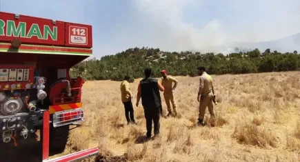 Şırnak'ta örtü ve orman yangınına hava ve kara müdahalesi