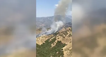 Aydın’da tarım arazisinde yangın: Havadan ve karadan müdahale sürüyor