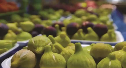 Payamlı Bardacık Festivali Güzelbahçe’de başlıyor