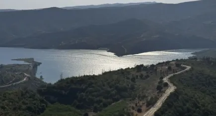 Manavgat yangınının üzerinden 4 yıl geçti: Küllerinden doğan orman yeşil tonlara büründü