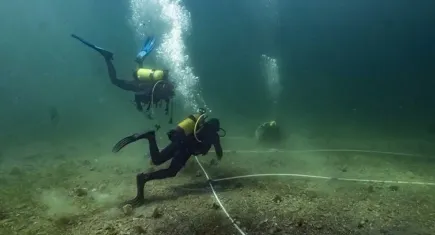 Marmara Denizi'nde müsilajla mücadeleye pina ve deniz çayırları desteği