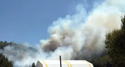 Manisa'da orman yangını!