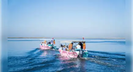 Büyükşehir’den flamingo yoluna davet