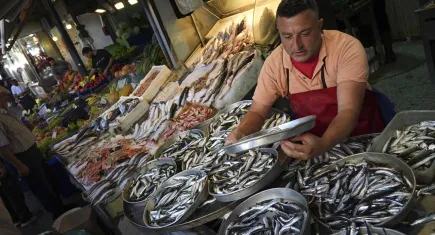 Balıkçılar “Vira Bismillah” dedi, tezgahlar şenlendi