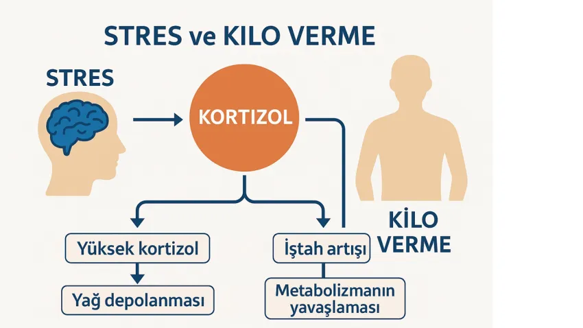 kilo