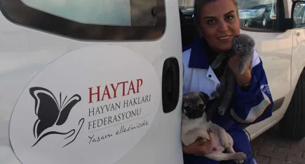 Köpeğe kürekli saldırı sonrası HAYTAP’tan adalet talebi